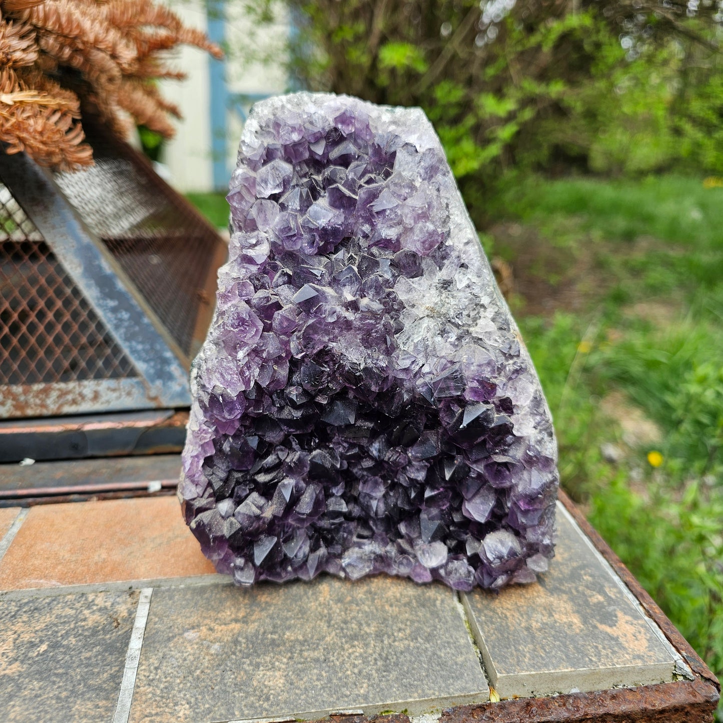 Nebula Amethyst Cutbase