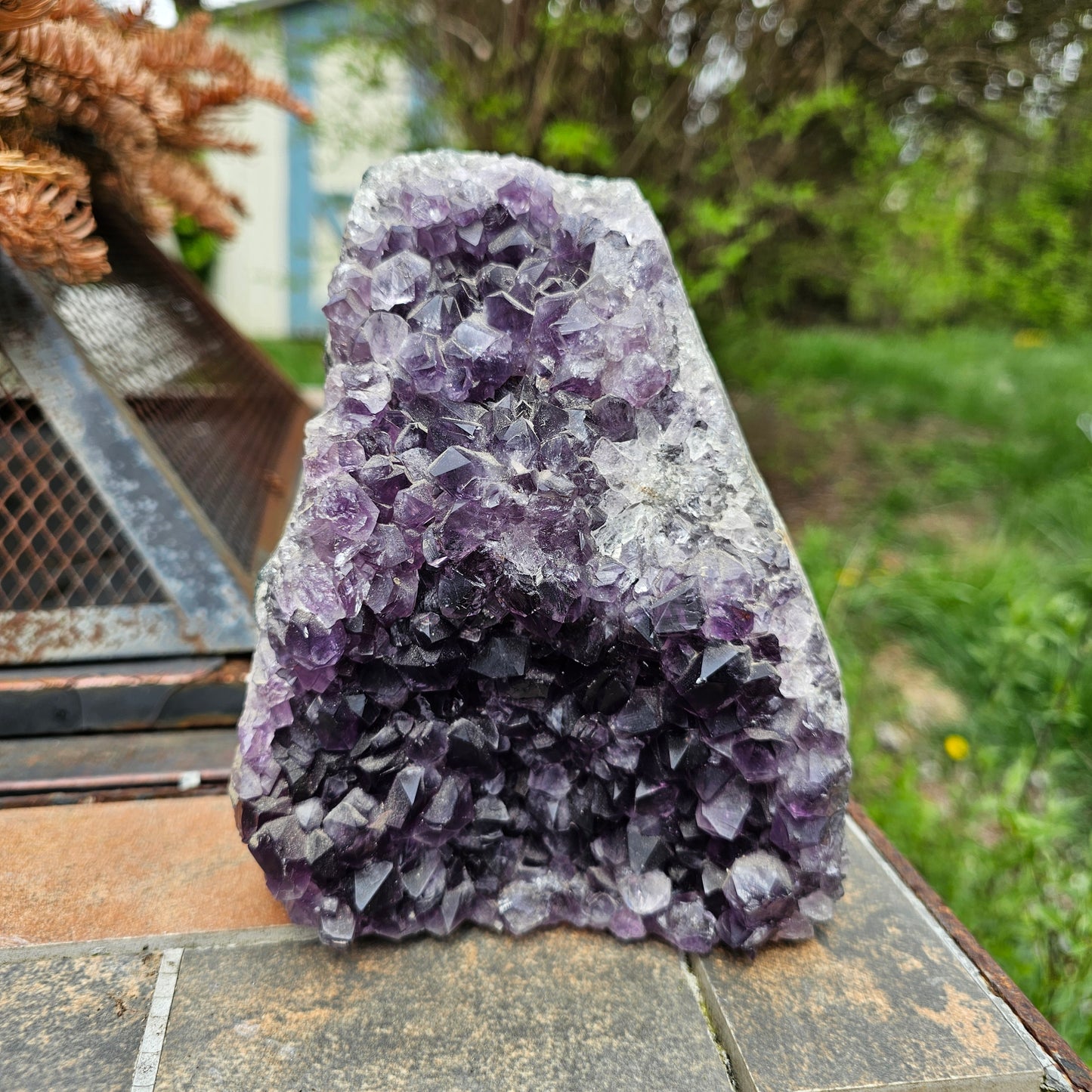 Nebula Amethyst Cutbase