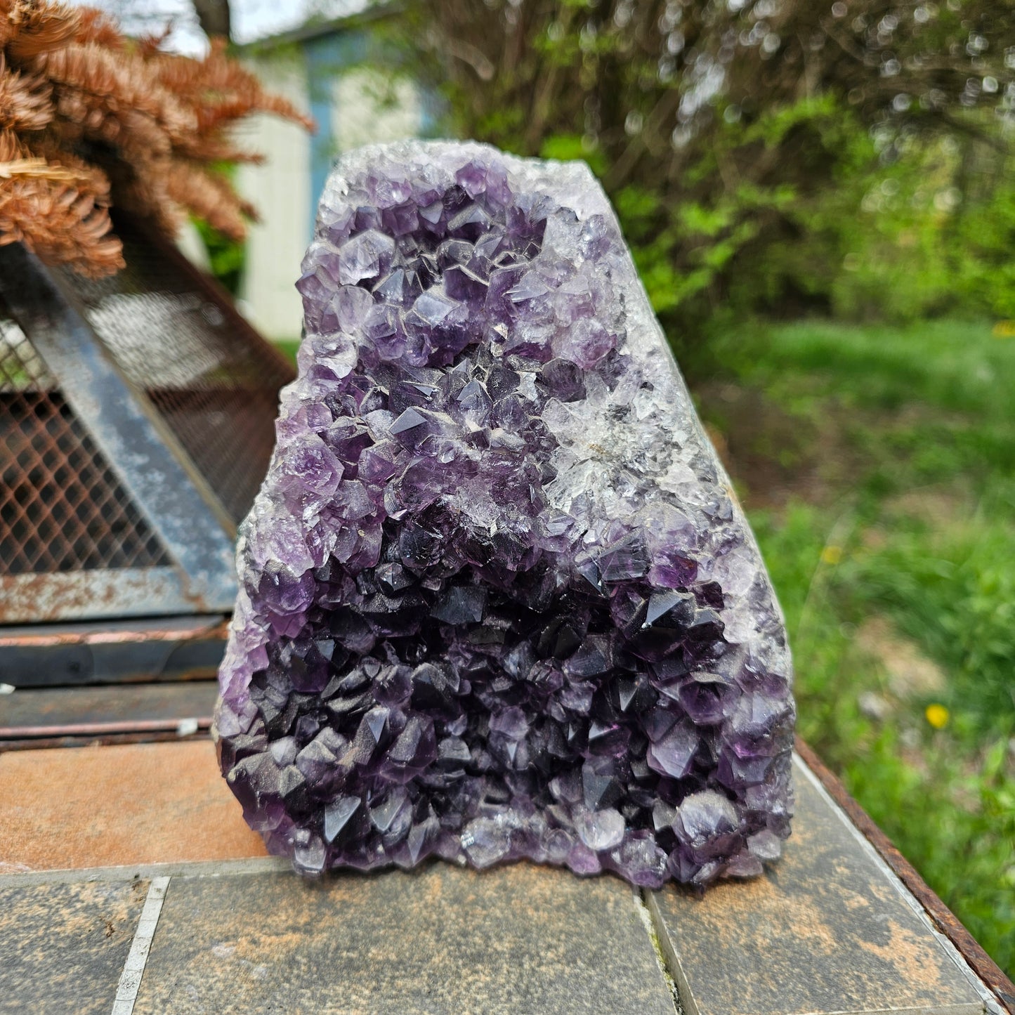 Nebula Amethyst Cutbase