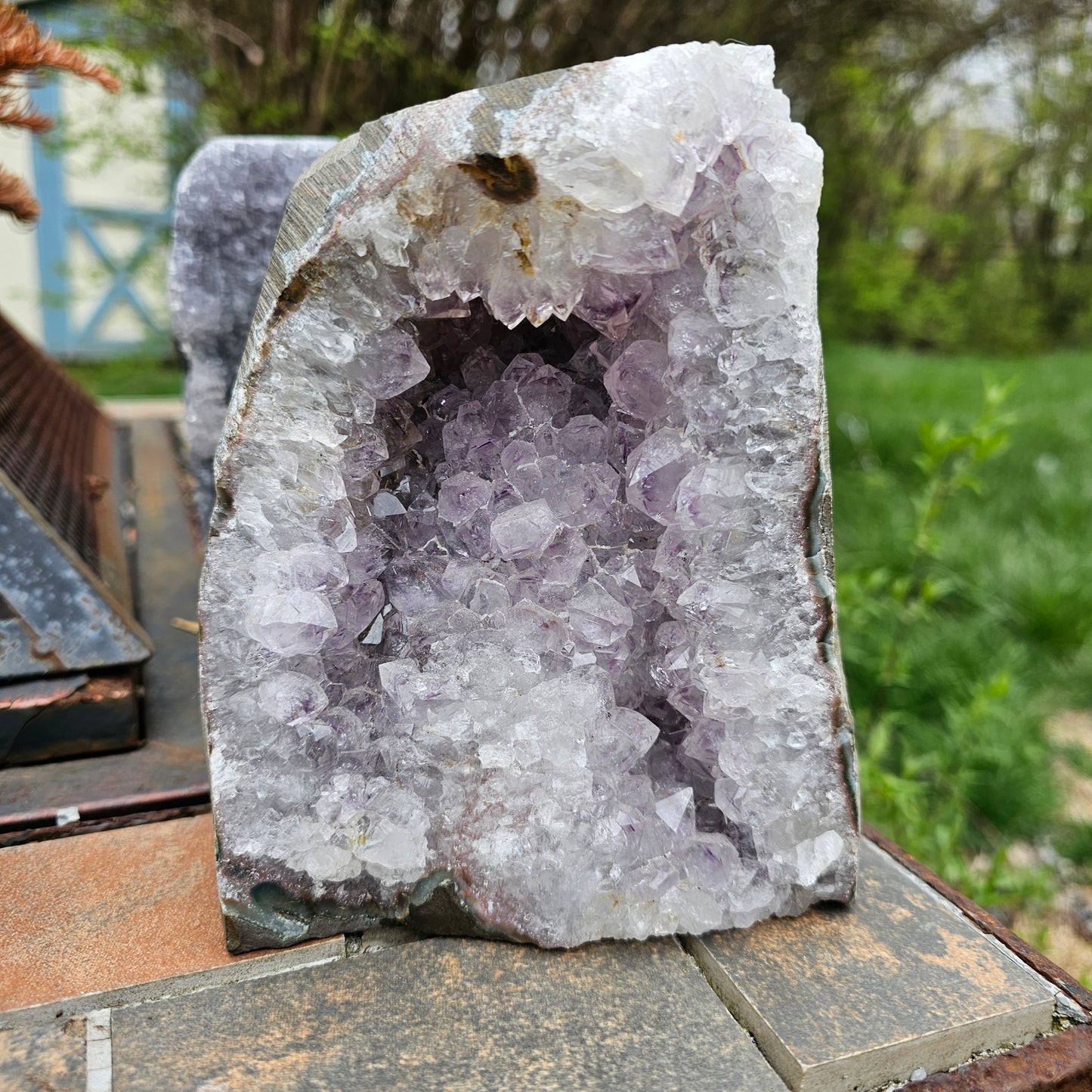 Nebula Amethyst Cutbase