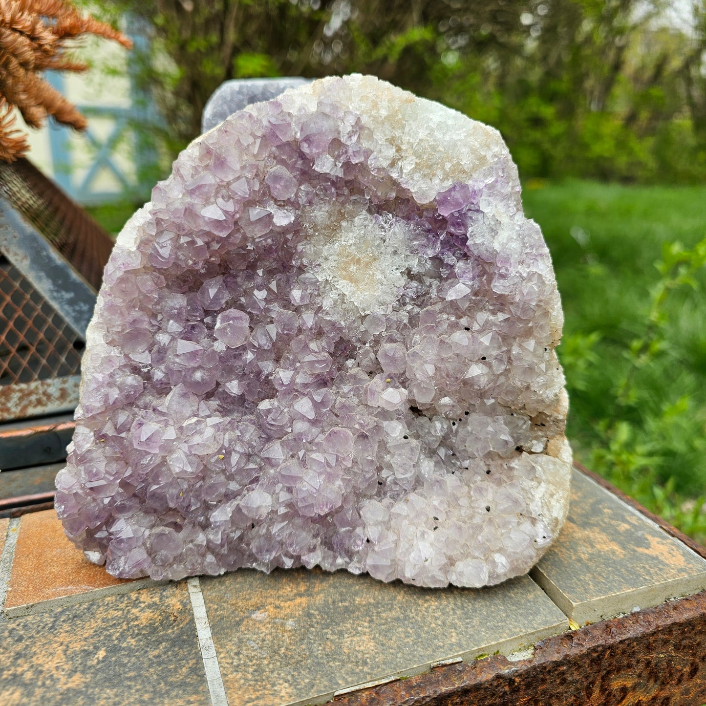 Nebula Amethyst Cutbase