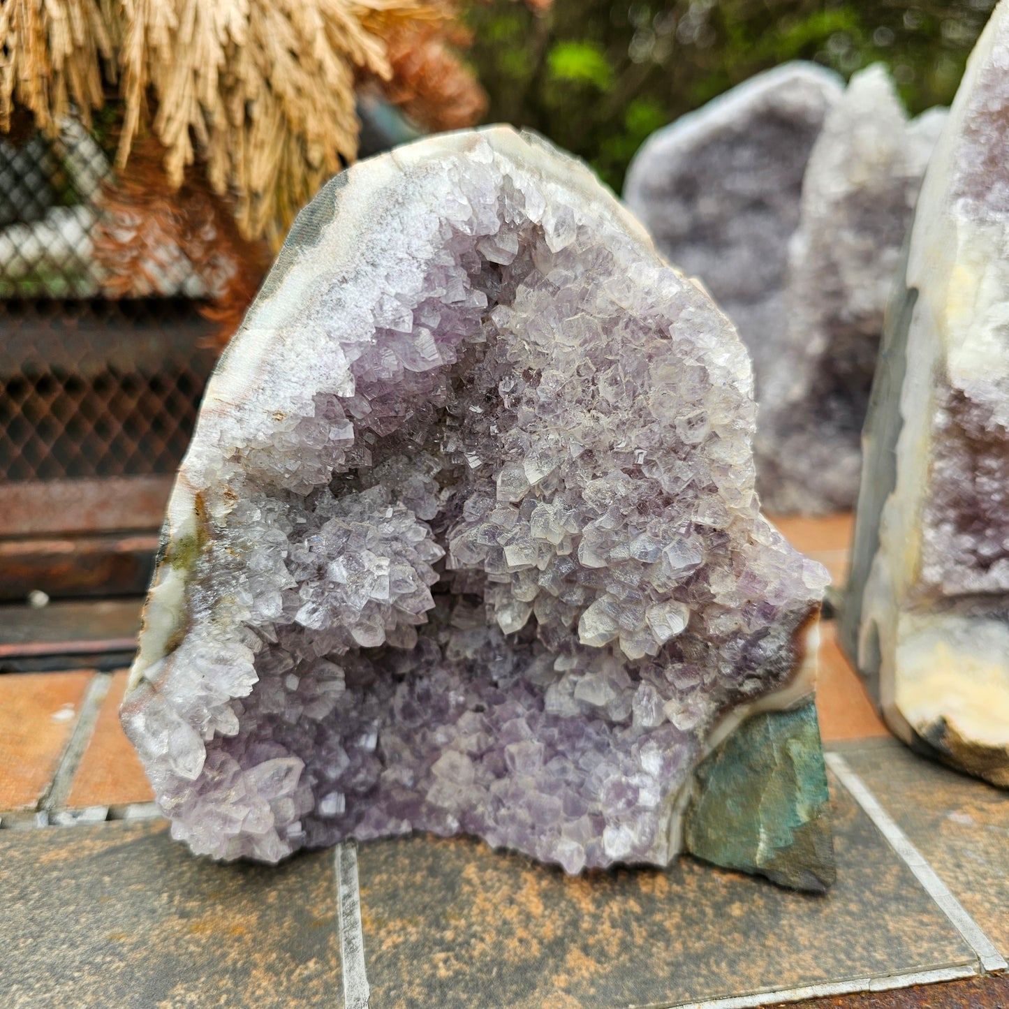 Nebula Amethyst Cutbase